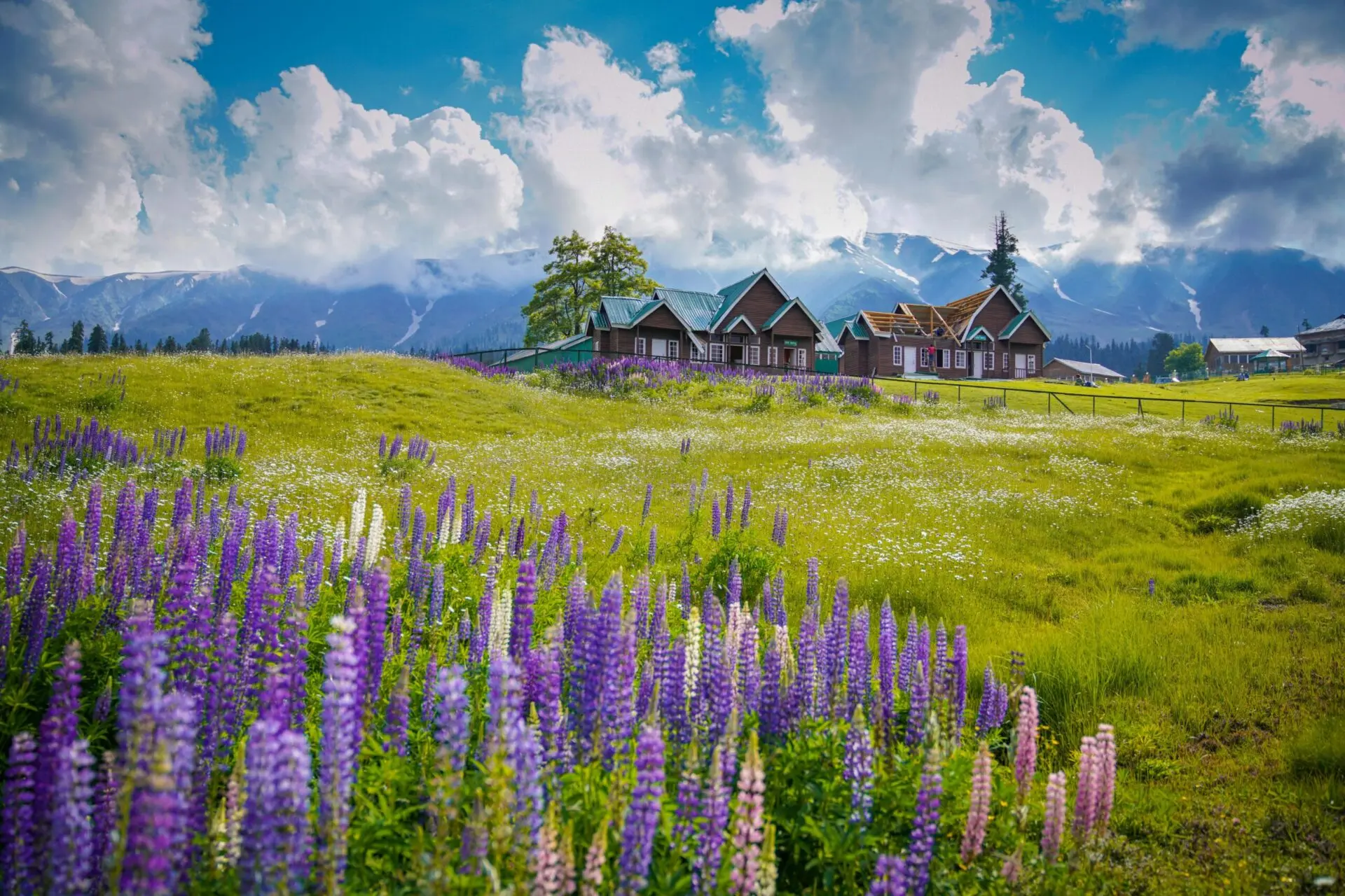 kashmir tour packages